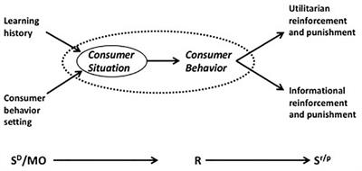 The Marketing Firm and the Consumer Organization: A Comparative Analysis With Special Reference to Charitable Organizations